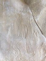 IMG_6953.jpeg