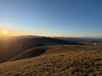 IMG_0823.jpeg