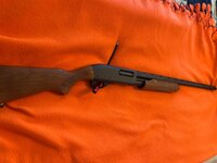 IMG_2207.jpeg