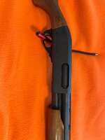 IMG_2203.jpeg