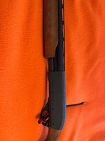 IMG_2198.jpeg