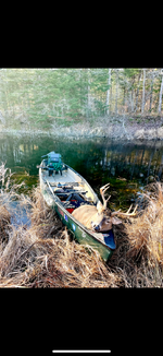 IMG_9798.png