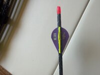 IMG_0234.jpeg