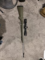 IMG_1933.jpeg