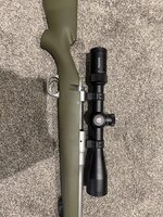 IMG_1935.jpeg