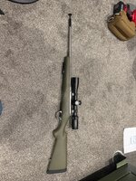IMG_1937.jpeg