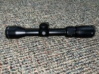 IMG_4772.jpeg