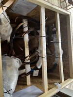 IMG_3377.jpeg