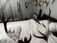 IMG_3404.jpeg