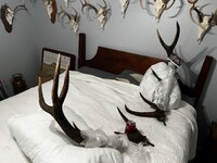 IMG_3405.jpeg