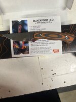 IMG_4356.jpeg