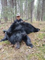 Bear 3.jpg