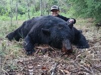 Bear 2.jpg