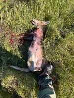 IMG_3909.jpeg