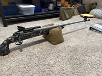 IMG_3584.jpeg IMG_3584.jpeg