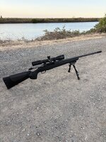 IMG_8158.jpeg IMG_8158.jpeg