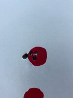 IMG_8163.jpeg IMG_8163.jpeg