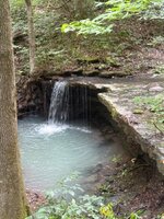 IMG_4302.jpeg