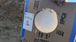 IMG_20260619_191129.jpg