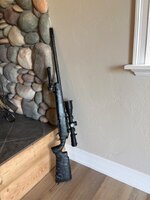 IMG_8109.jpeg