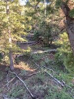 IMG_8445.jpeg