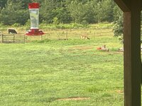IMG_2071.jpeg