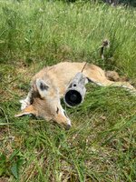 IMG_7626.jpeg