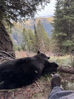 IMG_3575.jpeg