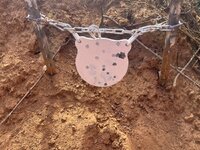 IMG_2073.jpeg