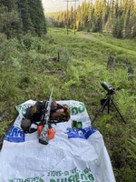 IMG_9173.jpeg