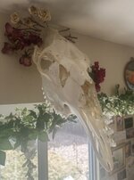 IMG_5901.jpeg IMG_5901.jpeg