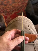 IMG_1351.jpeg