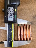 IMG_7530.jpeg