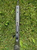 IMG_9789.jpeg