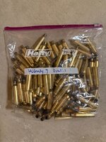 IMG_2228.jpeg