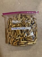 IMG_2227.jpeg