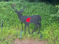 IMG_4111.jpeg IMG_4111.jpeg