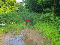IMG_4112.jpeg IMG_4112.jpeg