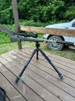 IMG_4115.jpeg IMG_4115.jpeg