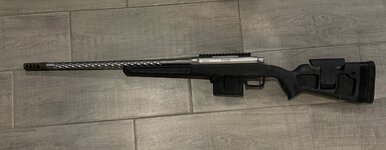 IMG_2796.jpeg
