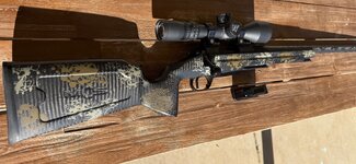 IMG_7207.jpeg