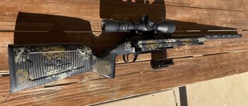 IMG_7208.jpeg