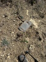 IMG_0646.jpeg