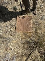 IMG_0647.jpeg