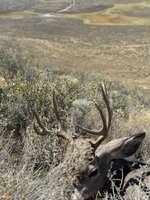 IMG_0657.jpeg