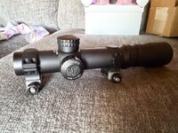 IMG_6791.jpeg