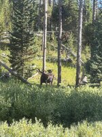 IMG_6475.jpeg
