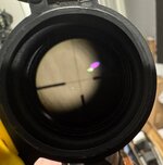 IMG_4755.jpeg