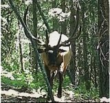 IMG_1798.jpeg