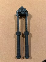 IMG_3498.jpeg